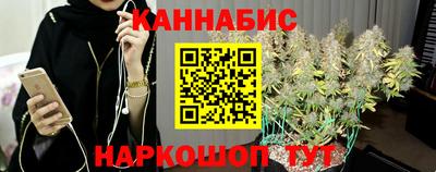 ГАЛЛЮЦИНОГЕННЫЕ ГРИБЫ Нальчик